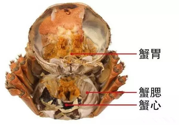 蟹不能吃的地方1.webp.jpg